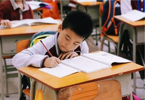 江蘇全面啟動課后服務與家庭教育咨詢，為家長減負解憂